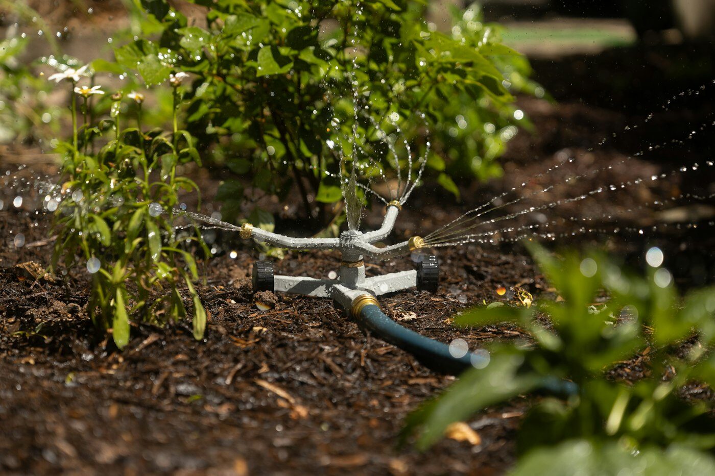 Sprinkler watering a planted bed