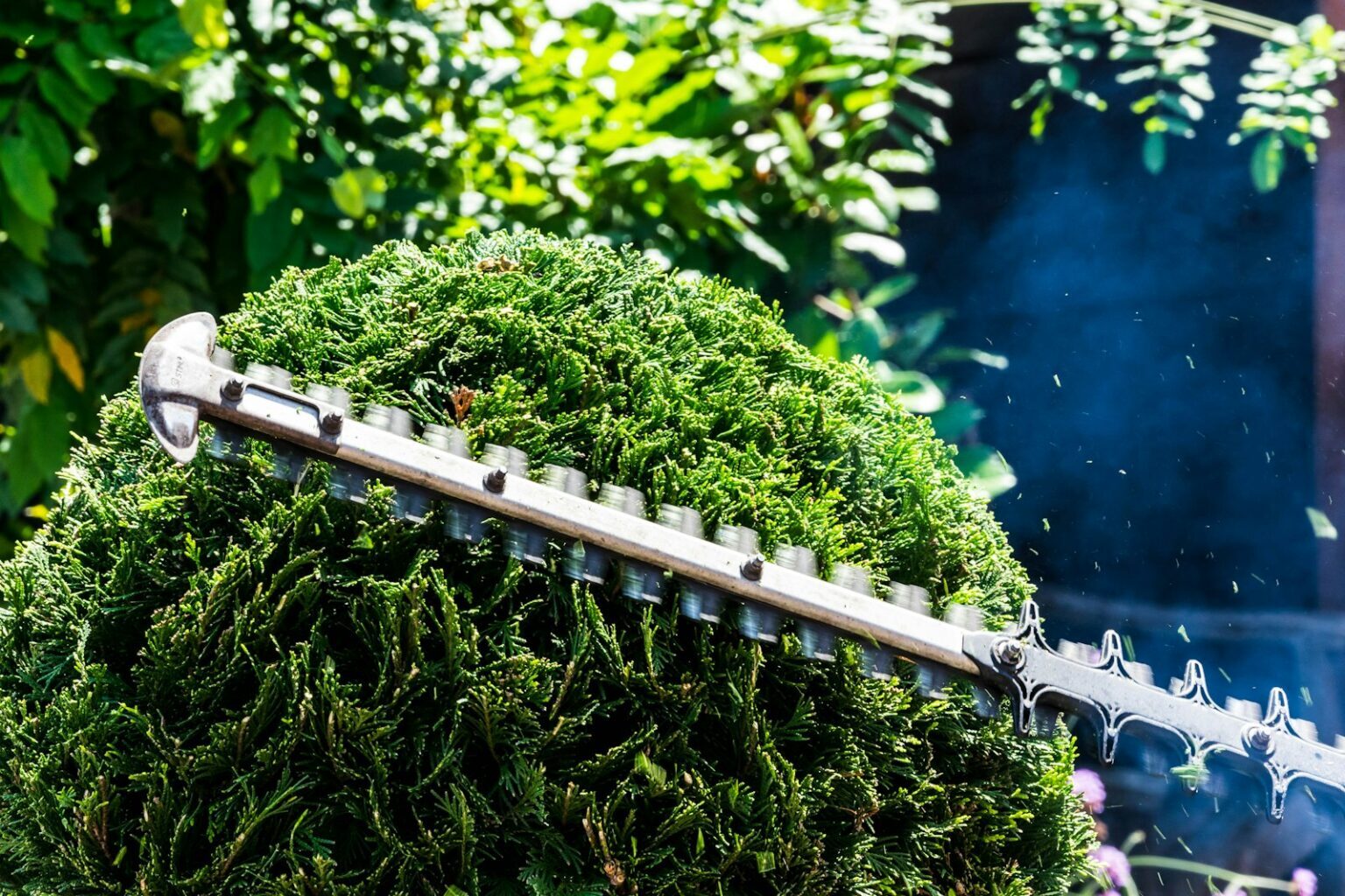 Garden Maintenance by GroundWork