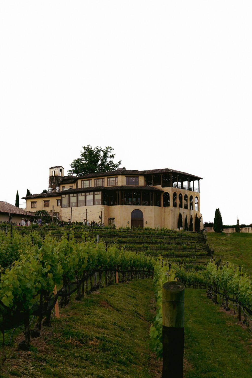 Stellenbosch Wine Estate Grounds, Stellenbosch, Western Cape